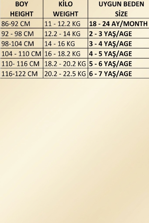 Kız Çocuk Mayokini - Görsel Desenli-2-6 Yaş 12616N